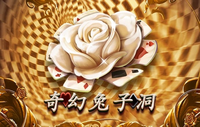 云开·全站